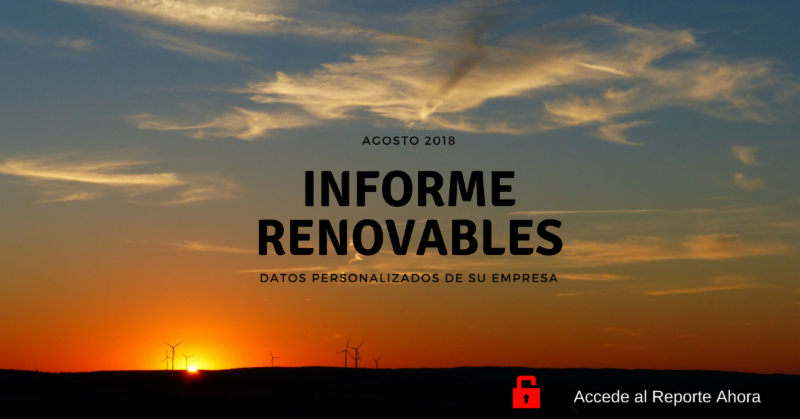 Informe RENOVABLES