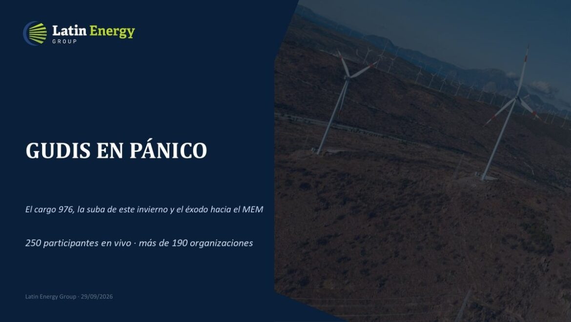 GUDIs en pánico: el cargo 976, la suba de este invierno y el éxodo hacia el MEM. Charla de Latin Energy Group, 29/09/2026